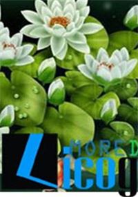 Tranh kính hoa sen LCG26